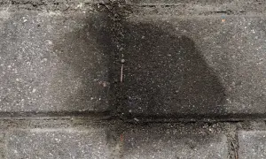 Plama oleju silnikowego na kostce brukowej przed domem. Jak usunąć plamę oleju silnikowego z kostki brukowej?