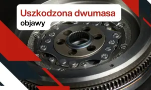 Uszkodzona dwumasa objawy: stuki i wibracje przy gaszeniu silnika. Widok z bliska na zużyte koło dwumasowe.