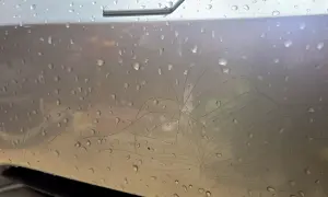 Pęknięcia lakieru na zderzaku, spowodowane niskimi temperaturami, tworzą sieć przypominającą pajęczynę.