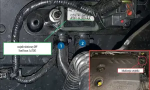 Czujnik DPF Ford Kuga - gdzie jest i jak go łatwo znaleźć