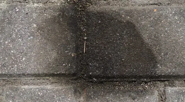 Plama oleju silnikowego na kostce brukowej przed domem. Jak usunąć plamę oleju silnikowego z kostki brukowej?