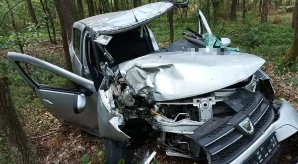 Zniszczony samochód w lesie po wypadku. Luźny zderzak mógł przyczynić się do tragicznych skutków jazdy na autostradzie.