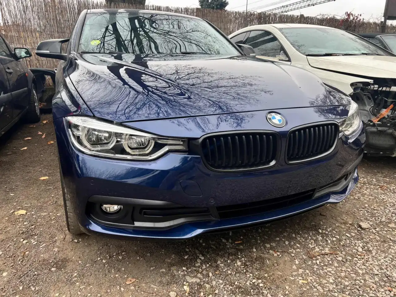 Granatowe BMW z odbiciami drzew na masce. Zastanawiasz się, ile kosztuje lakierowanie zderzaka?